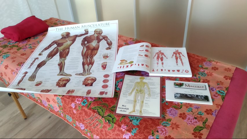 anatomie workshop