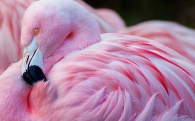 Je hoeft jezelf niet mooi te vinden, wel lief te hebben